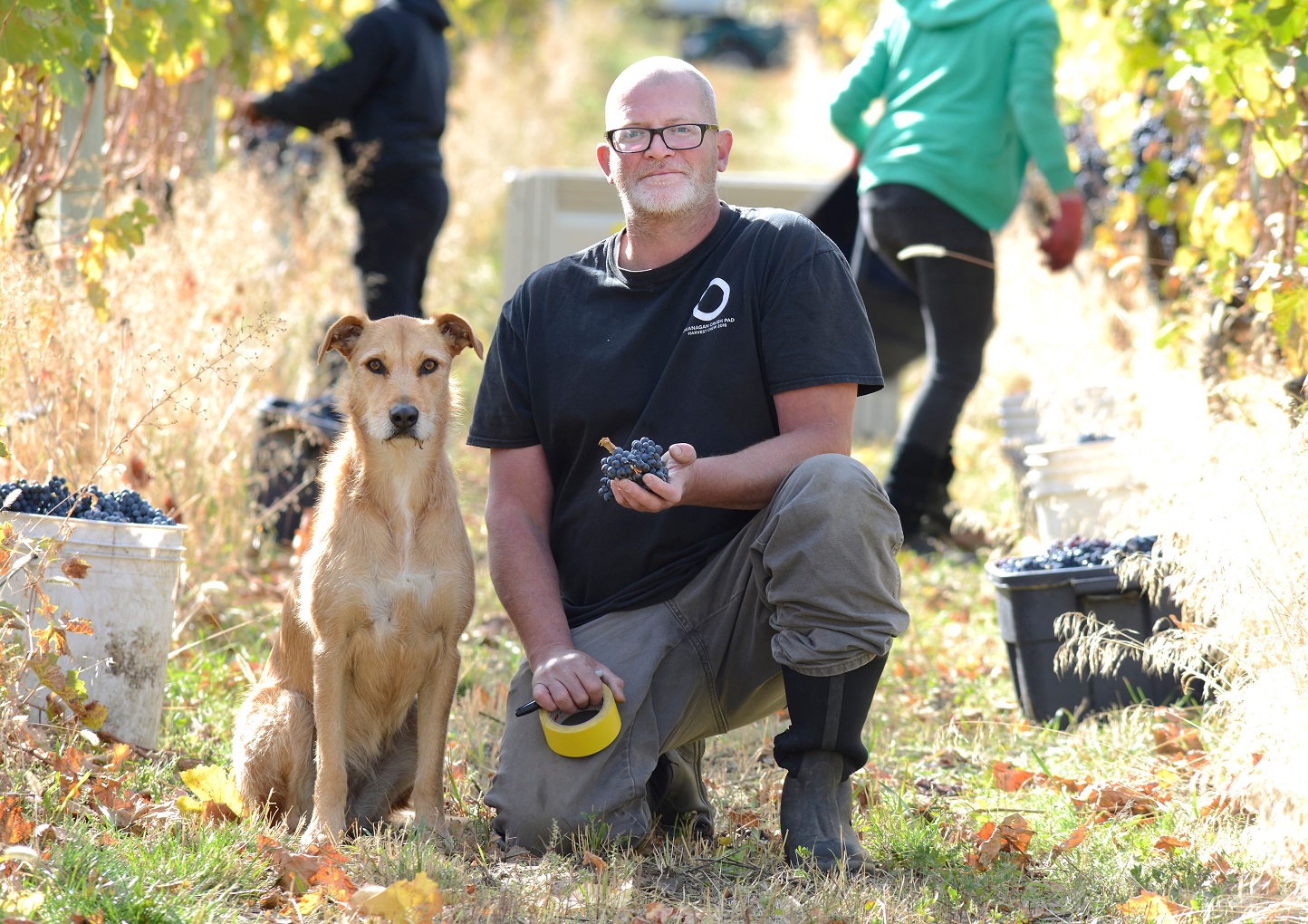 Fall 2019 Harvest OCP 