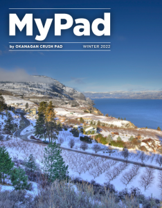 MyPad Winter 2022