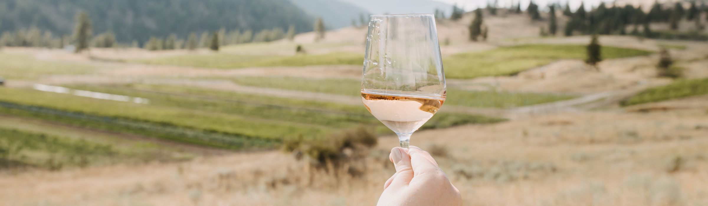 Shop Okanagan Rosé Wine Okanagan Crush Pad