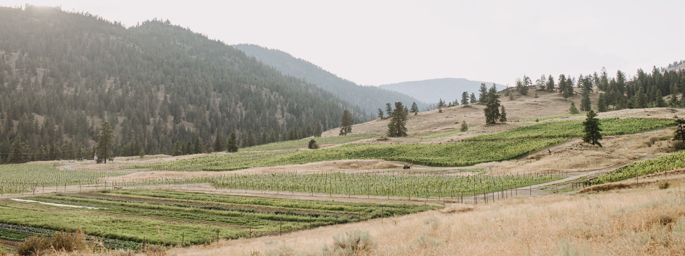 About Valley Ranch Winery Okanagan Crush Pad